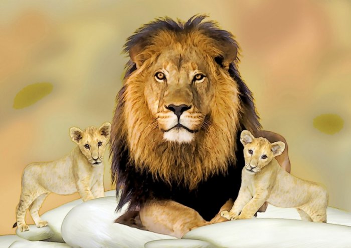 Lion And Cubs Lion And Cubst Framed Print